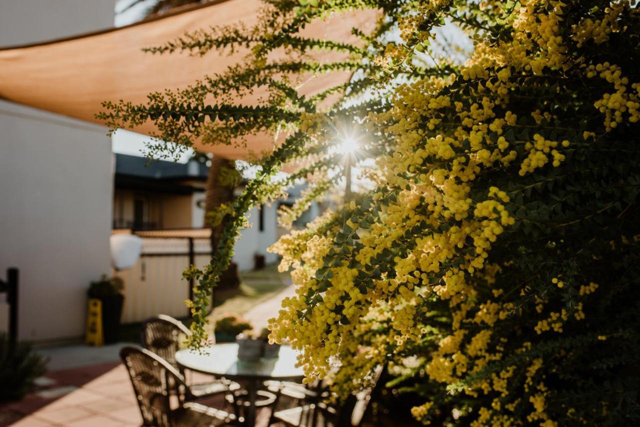 Inverell Terrace Motor Lodge Luaran gambar
